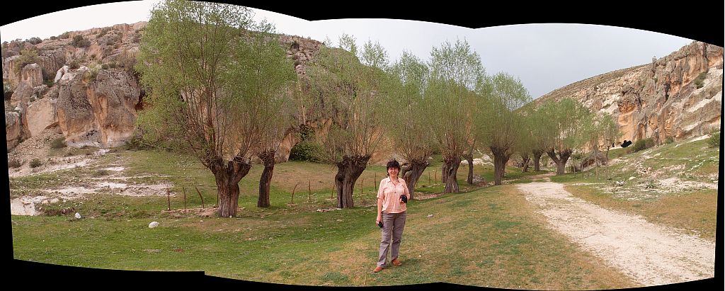 P4305818_stitch.jpg