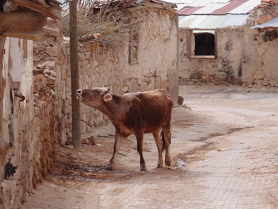 P4305840.jpg