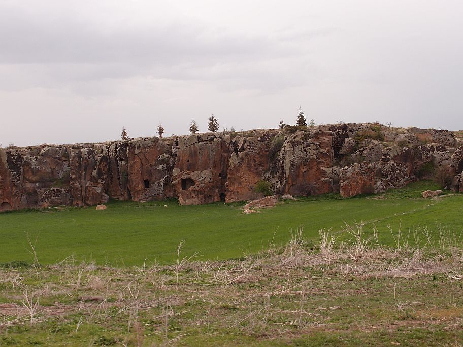 P4305847.jpg