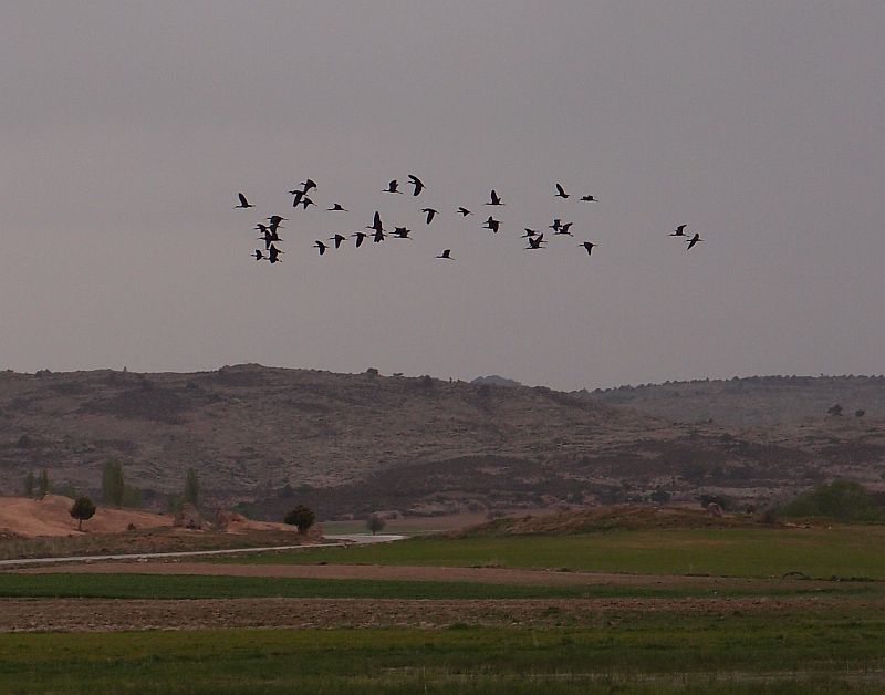 P4305963.jpg