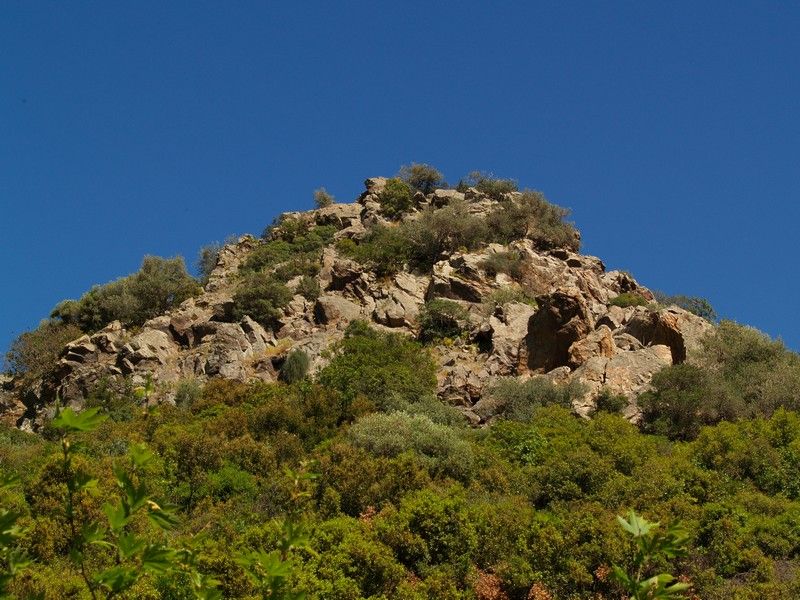 P5027616.jpg