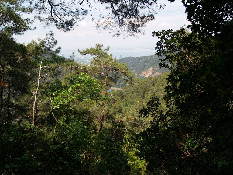 P5031169.jpg