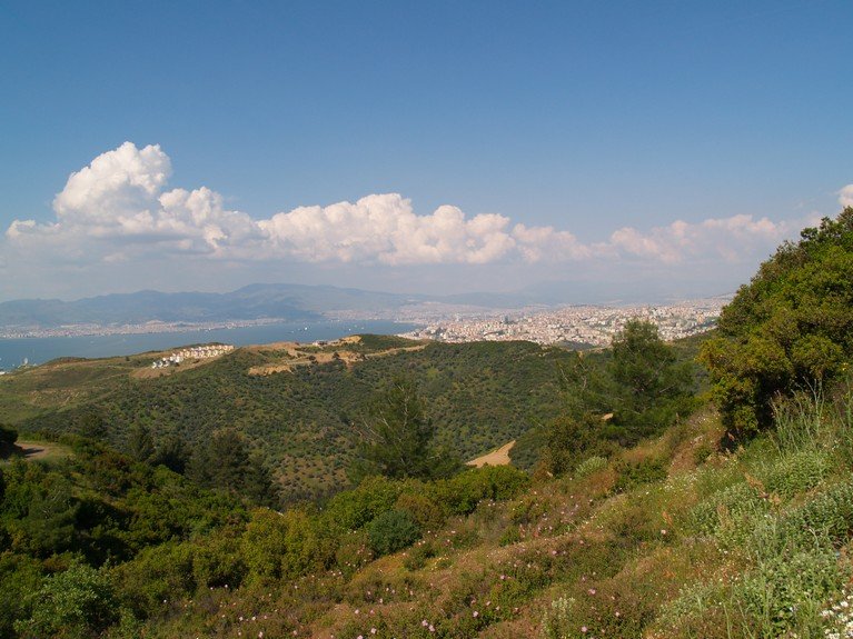 P5031221.jpg