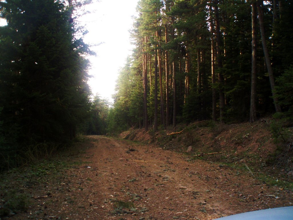 P5040064.JPG