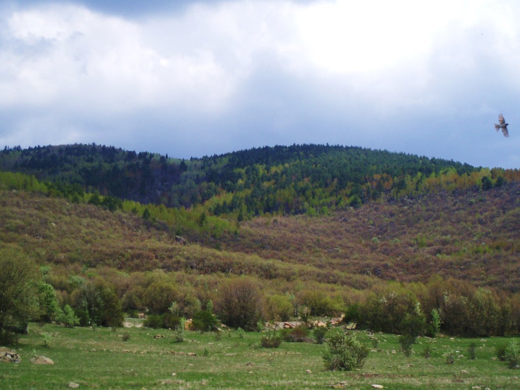 P5050110.JPG