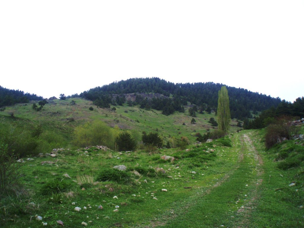 P5120164.JPG