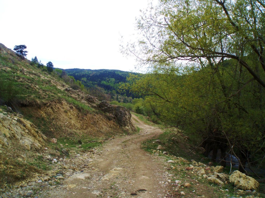 P5120176.JPG