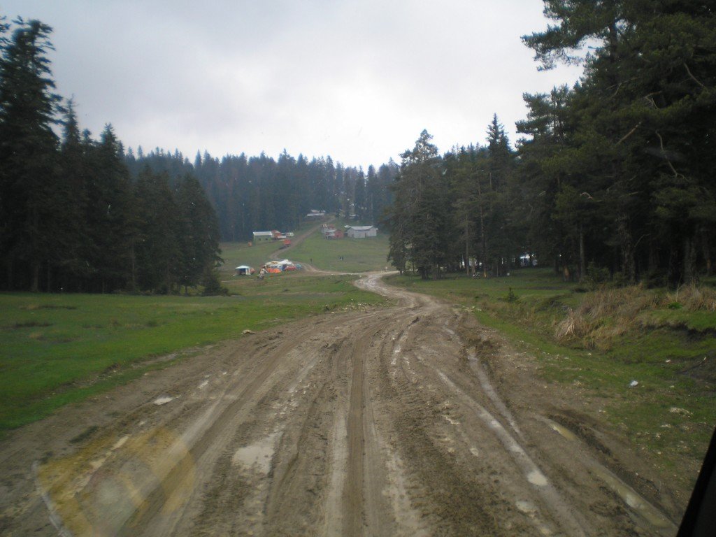 P5140039.jpg