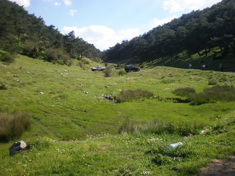 P5150076.JPG