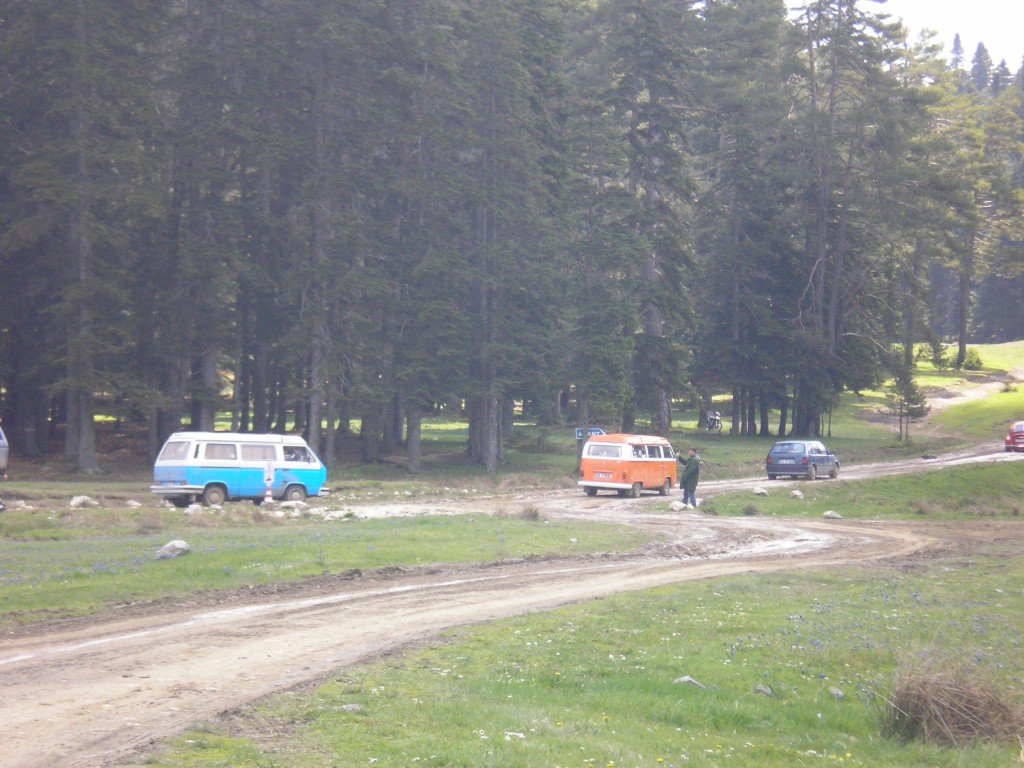P5150086.jpg