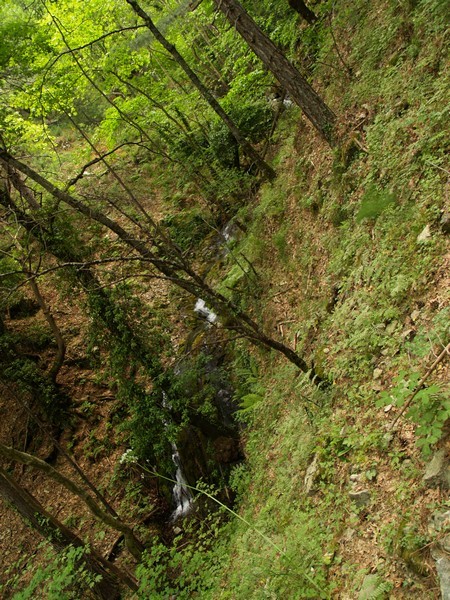 P5181521.jpg
