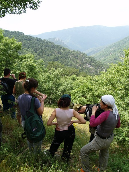 P5181529.jpg