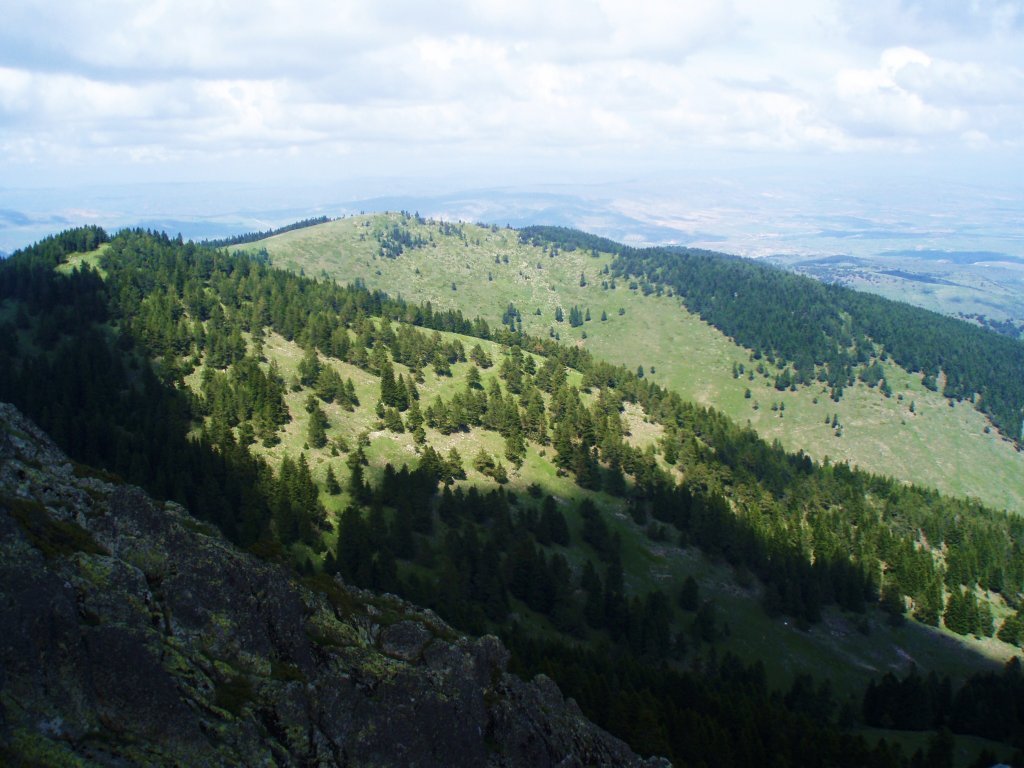P5210127.JPG