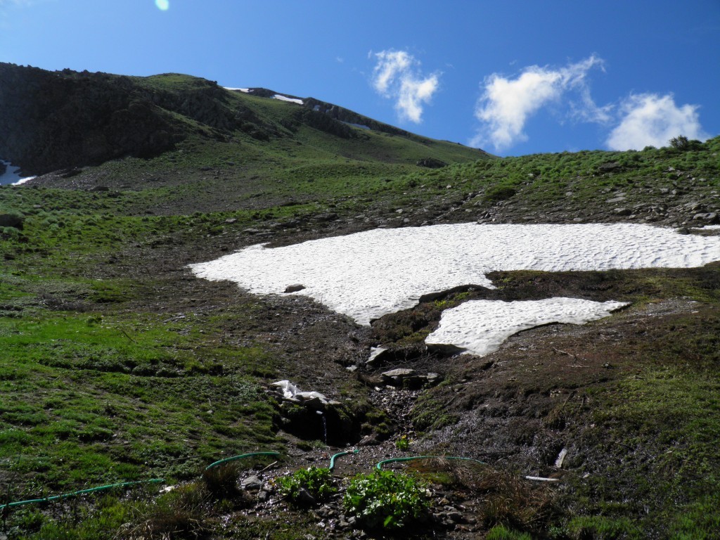 P5263053.JPG