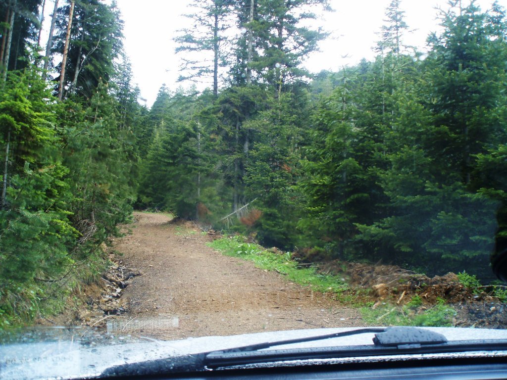 P5310013.JPG