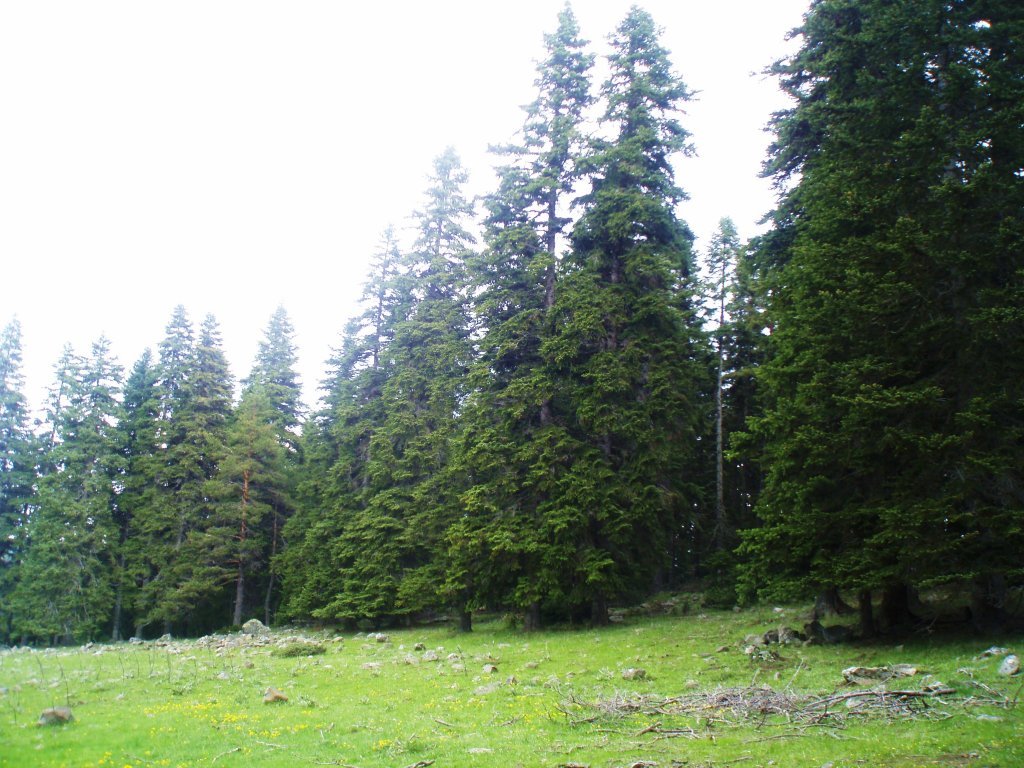 P5310025.JPG