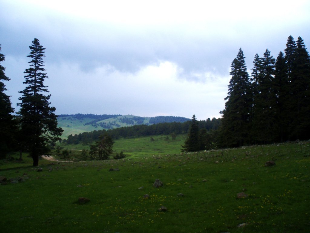 P5310026.JPG