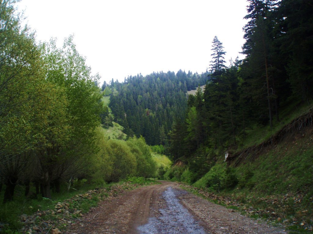 P5310033.JPG