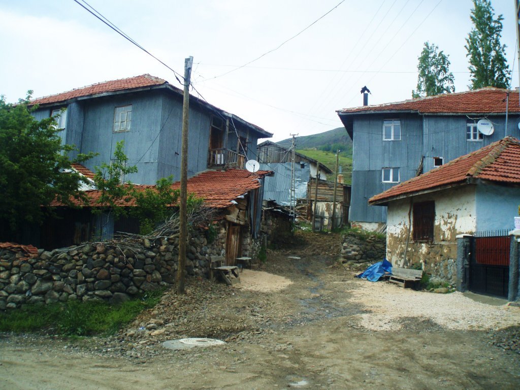 P5310040.JPG