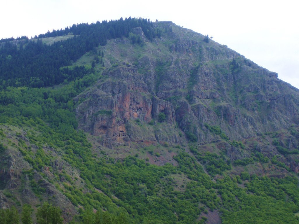 P5310044.JPG