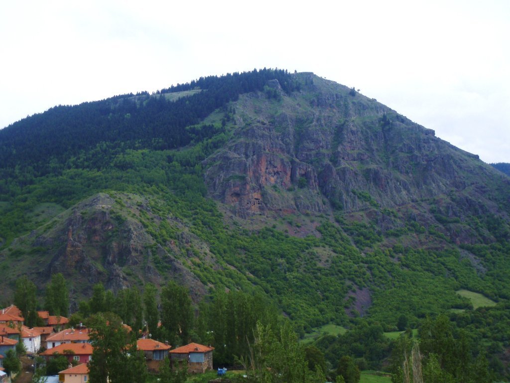 P5310045.JPG