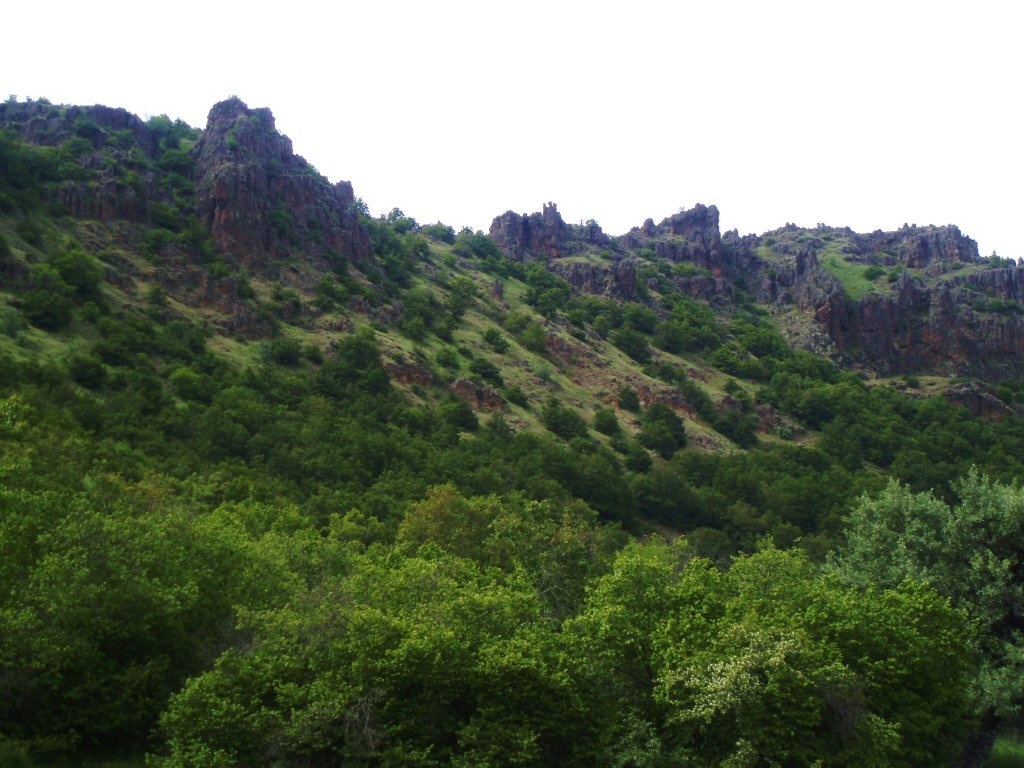 P5310050.JPG