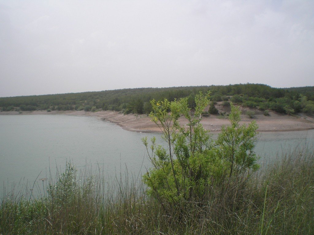 P6191955.JPG
