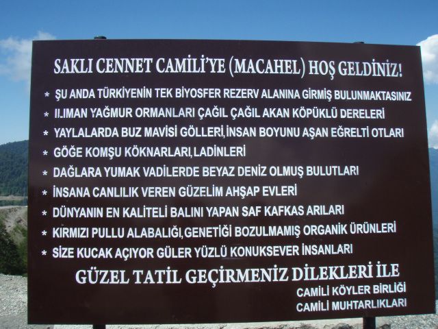 P7012306.jpg