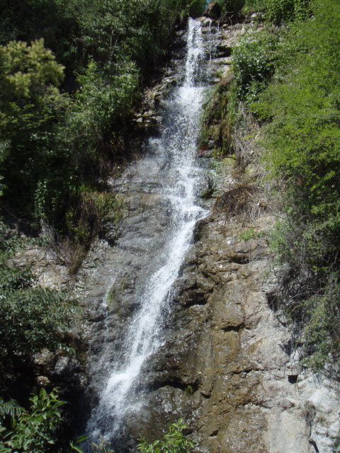 P7013634.jpg