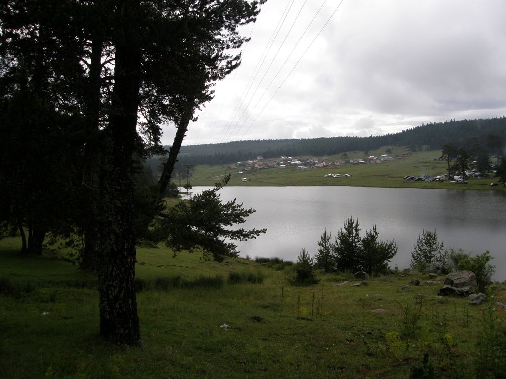 P7020016.JPG