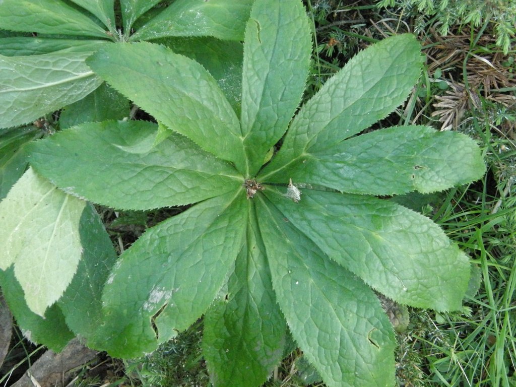 P7020101.JPG