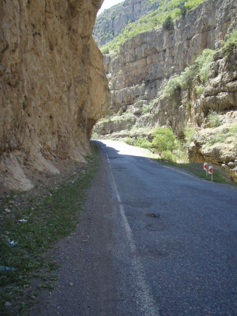 P7023800.jpg