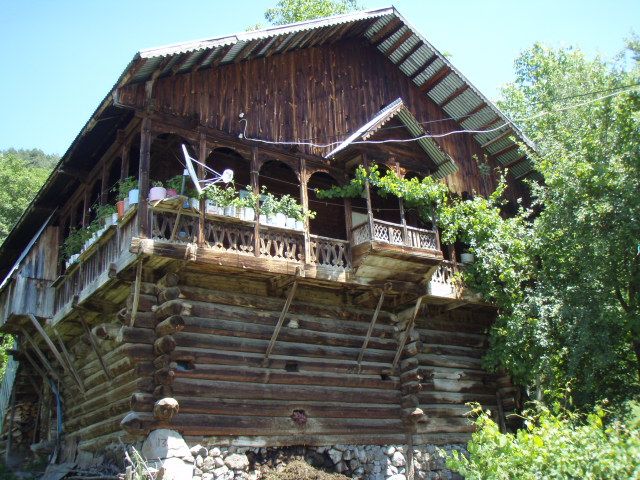 P7023846.jpg