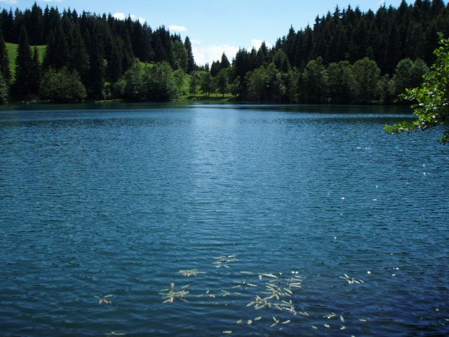 P7023856.jpg