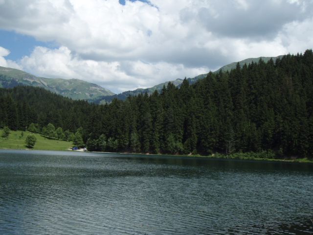 P7023870.jpg