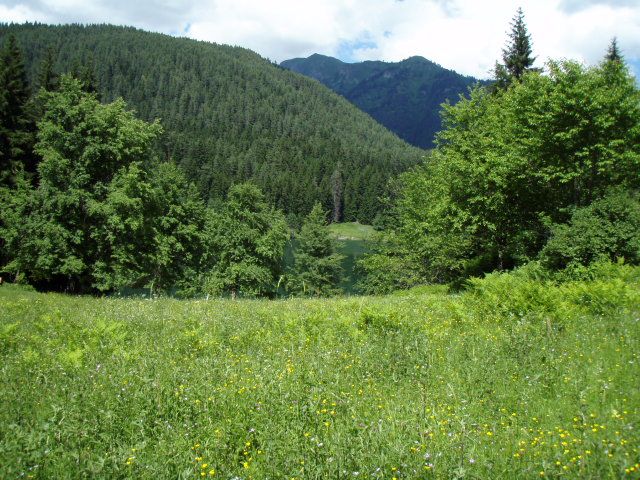 P7023873.jpg