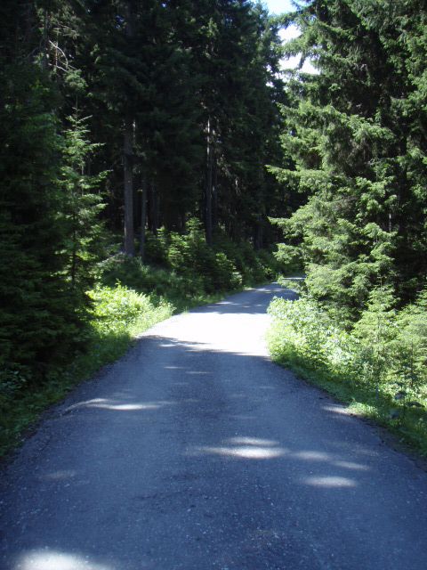 P7023878.jpg