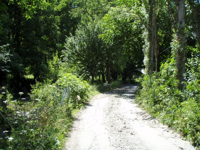 P7023893.jpg