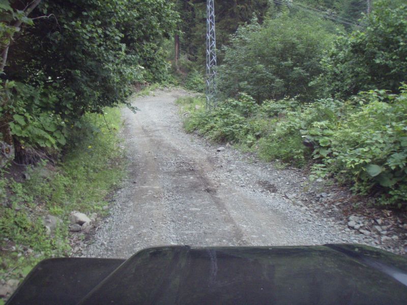 P7032664.jpg
