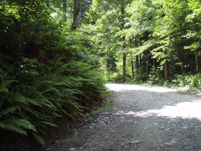 P7033929.jpg