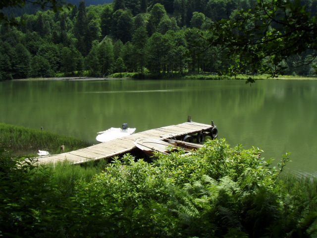 P7033939.jpg