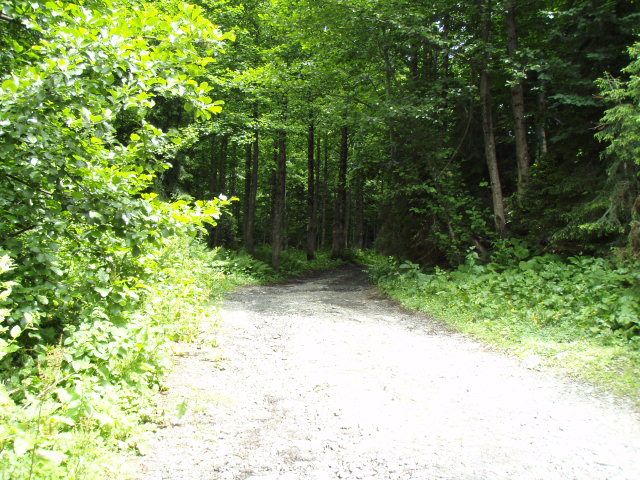 P7034043.jpg