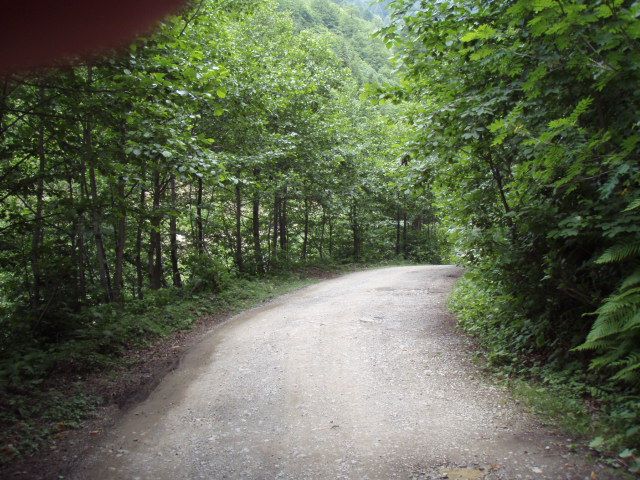 P7034047.jpg