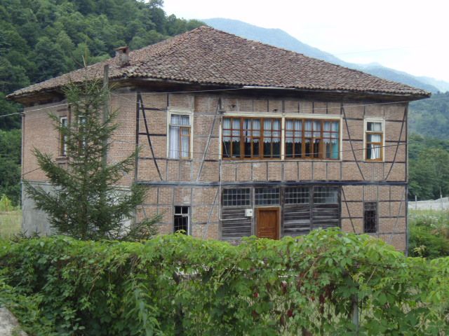 P7034061.jpg