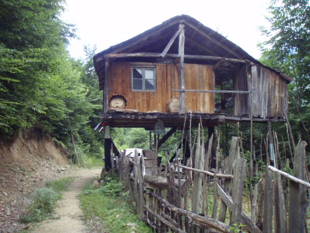 P7044176.jpg