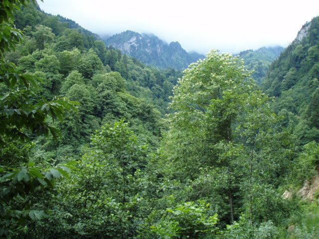 P7044184.jpg
