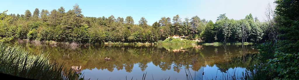 P7161165_stitch.jpg