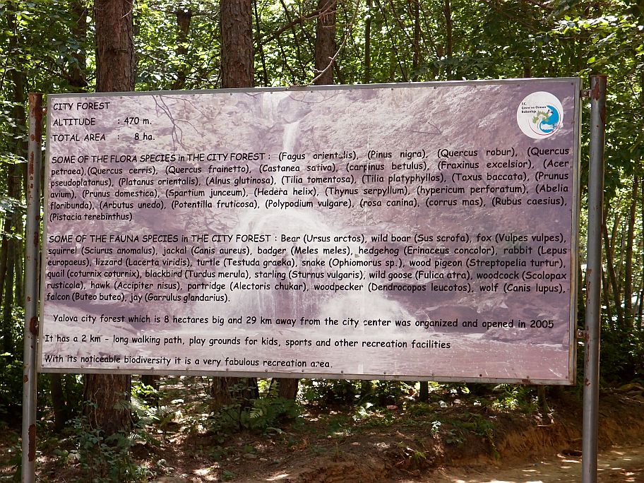 P7161182.jpg