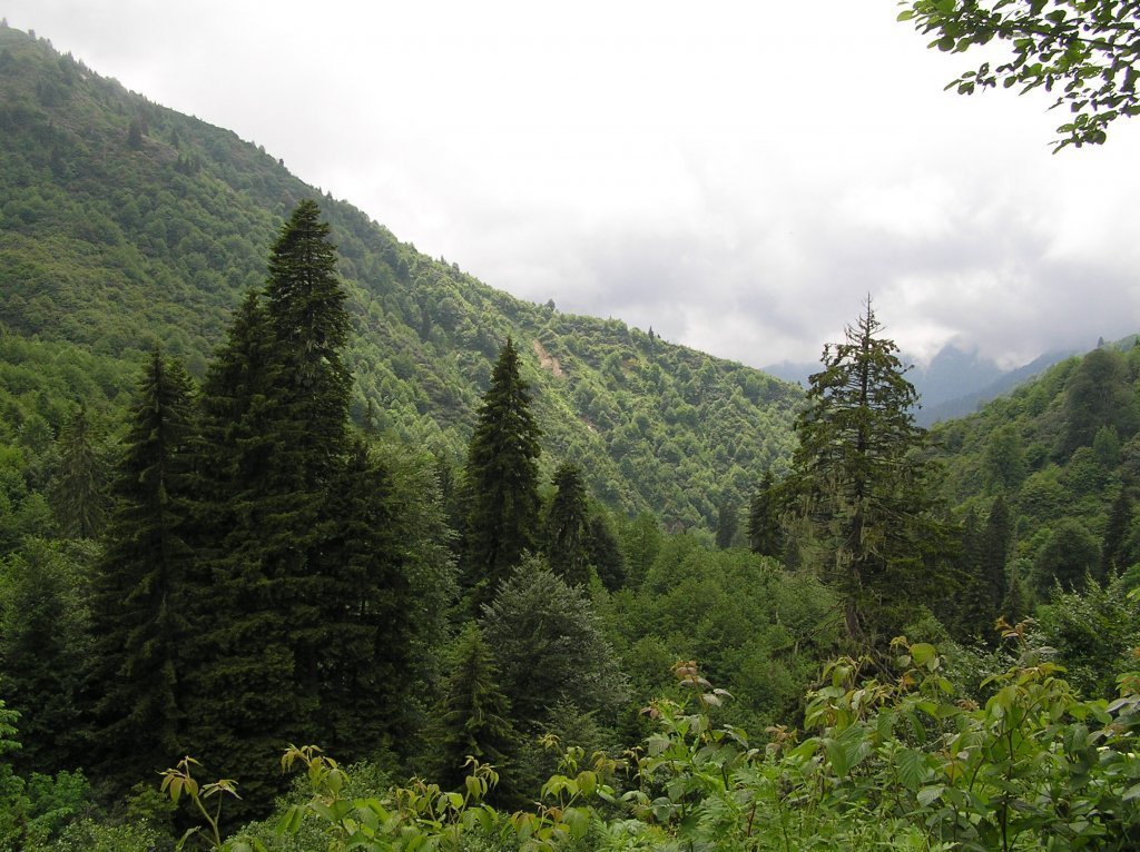 P7210227.JPG
