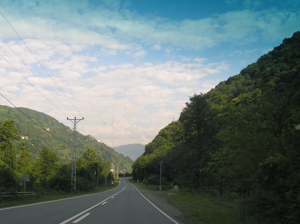 P7210266.JPG